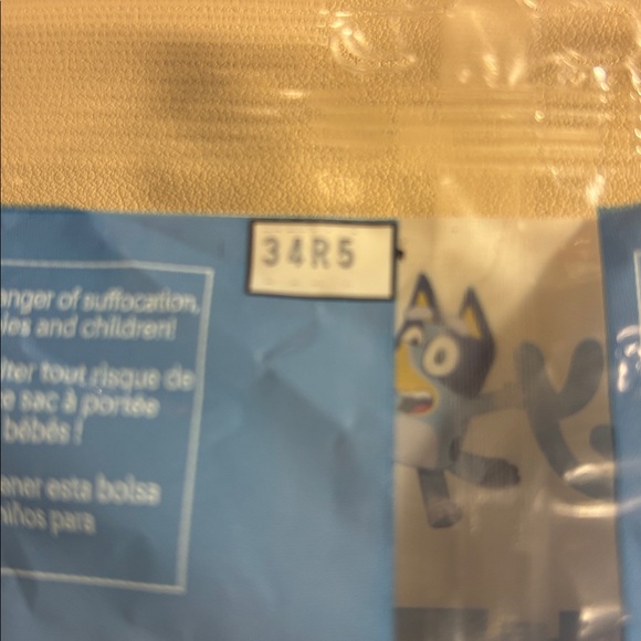 LEGO Bluey Tea Party Set with Red, Green, and White Pieces - Picture 3 of 6